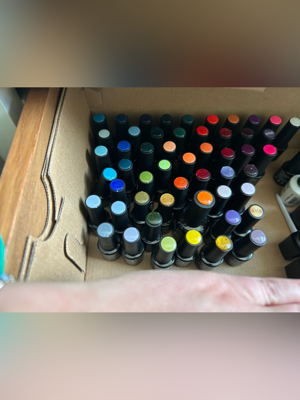 Beetles Haul